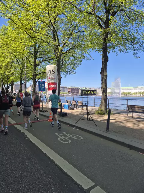 Bei bestem Wetter absolvierten rund 9.000 Läuferinnen und Läufer den diesjährigen Hamburg-Marathon | Foto: Hartmann