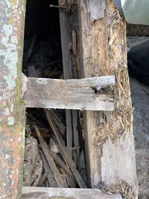 Das Holz wird von einem Sachverständigen begutachtet | Foto: Tobias Holst