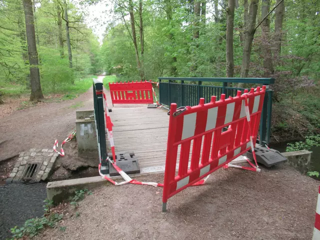 Wanderer öffneten die Absperrung, um wieder den Seitenarm des Seppenser Baches überqueren zu können | Foto: Frank Merla