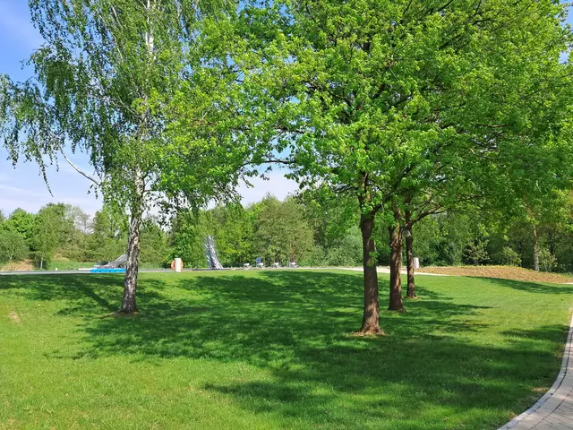 Alter Baumbestand sorgt jetzt schon für einige schattige Plätze. Es wurden aber auch neue Bäume gepflanzt | Foto: Anika Werner
