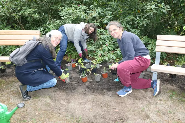 Im Buchholzer Stadtpark wurden weitere essbare Pflanzen angepflanzt | Foto: Stadt Buchholz i.d.N.