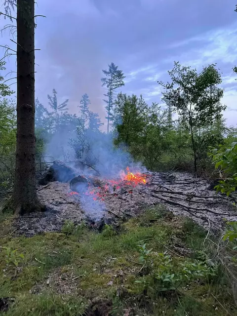 Trockene Böden sind ein häufiger Auslöser für Waldbrände | Foto: Feuerwehr Buchholz
