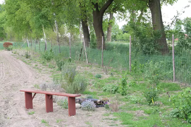 Neben dem Feld wird ein Blühstreifen mitsamt Wildhecke angelegt