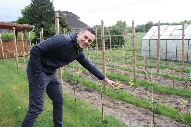 Florian Schubert begutachtet die Rebpflanzen auf dem Übungsfeld 