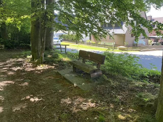 Eine vom NLF betriebene Eichenbank im Höpen. Sie bleibt stehen. Insgesamt betreibt der NLF nach eigenen Angaben noch fünf Bänke in diesem Wald | Foto: sra