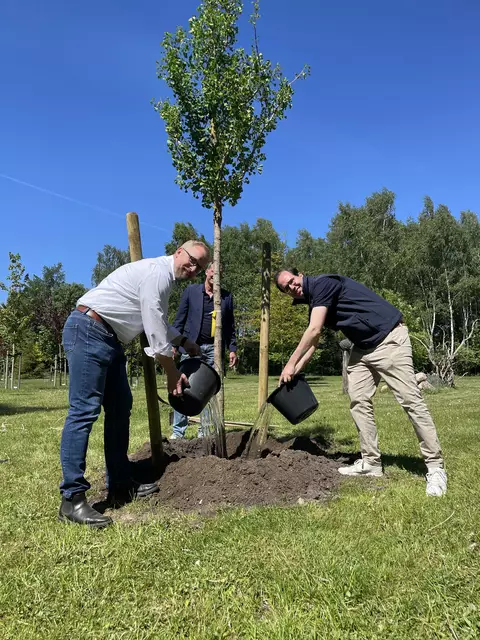 Das erste Wässern ist wichtig | Foto: Lions Club