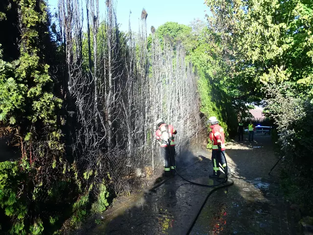 Restlöscharbeiten nach Brand einer Hecke im Orthhof in Egestorf | Foto: Freiwillige Feuerwehr Samtgemeinde Hanstedt