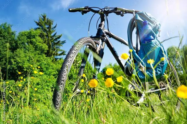 Seevetal und Rosengarten lassen sich prima mit dem Fahrrad erkunden  | Foto: Foto: Adobe Stock / Petair