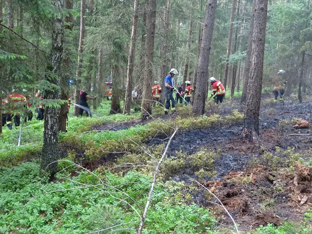 Einsatzkräfte löschen einen Waldbrand in der Nähe der Töpsheide bei Dierkshausen | Foto: Freiwillige Feuerwehr Samtgemeinde Hanstedt