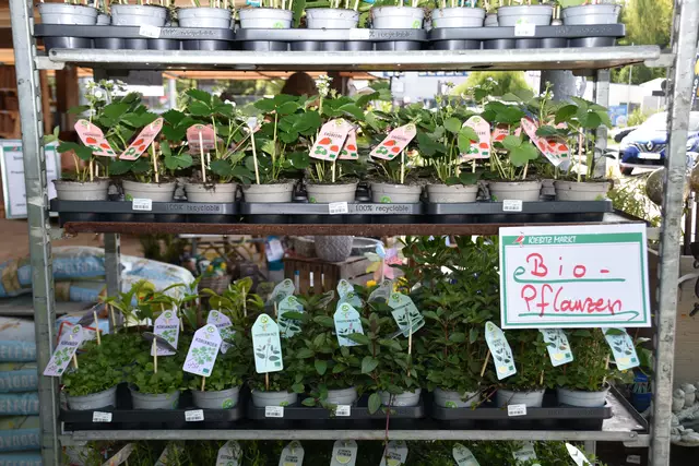 Das Sortiment an regionalen Bio-Obst-, Gemüse- und Kräuterpflanzen wurde in diesem Jahr nochmals erweitert | Foto: Axel-Holger Haase