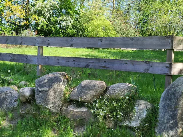 Viel Natur wird den Kindern geboten, hier entsteht ein Kräutergarten | Foto: sh