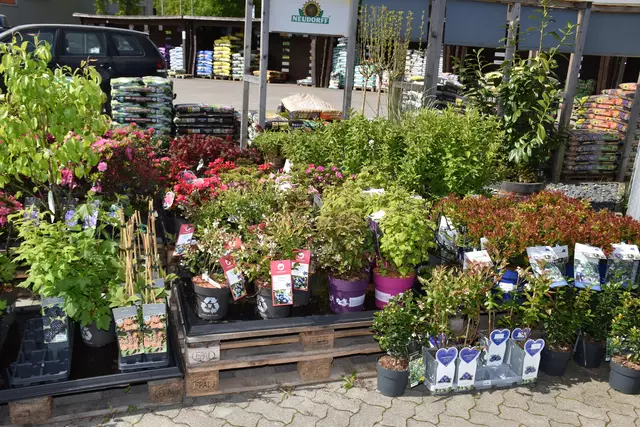Das Sortiment an regionalen Bio-Obst-, Gemüse- und Kräuterpflanzen wurde in diesem Jahr nochmals erweitert | Foto: Axel-Holger Haase