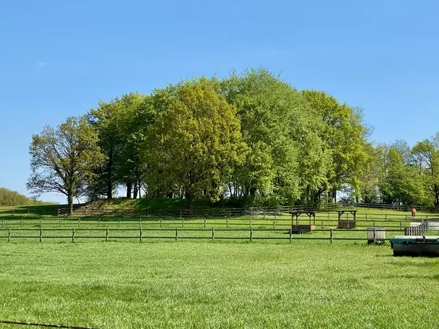 Der Fuchsberg zwischen Rönneburg und Meckelfeld. | Foto: C.Wöhling