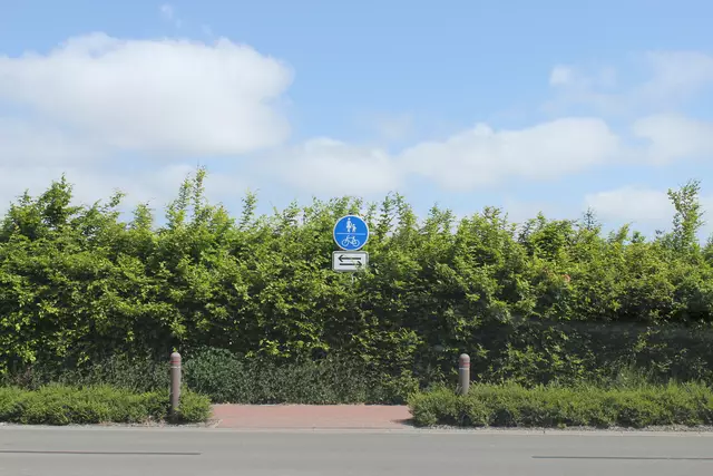 Der ausgewiesene Radweg wird in beide Richtungen befahren | Foto: sb