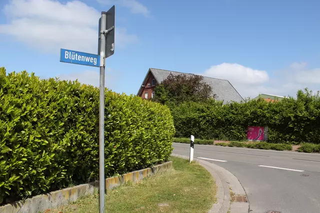 Die Experten empfehlen Tempo 30 vom Kastanien- bis zum Blütenweg | Foto: sb