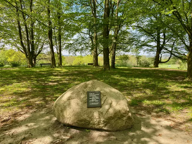 Auf dem Fuchsberg zwischen Rönneburg und Meckelfeld. | Foto: C.Wöhling