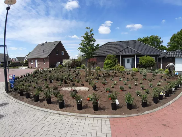 Vor fünf Jahren haben wir rund 300 Pflanzen in die Erde gebracht | Foto: Anika Werner