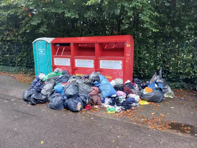 Zugemüllte Container-Stellplätze: Bei der DLRG ist man äußerst unglücklich über die Situation nach der Insolvenz des Entsorgungsunternehmens | Foto: DLRG