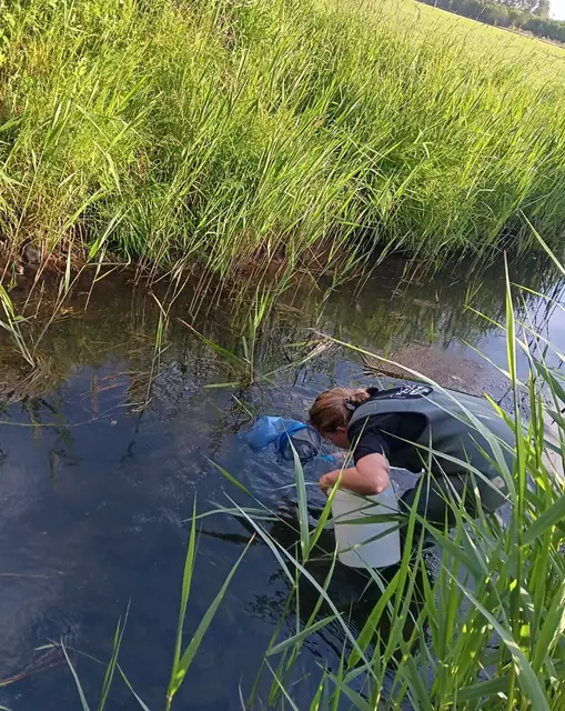 Einer der Angler holt die toten Fische aus dem Wasser | Foto: Angelverein Horneburg