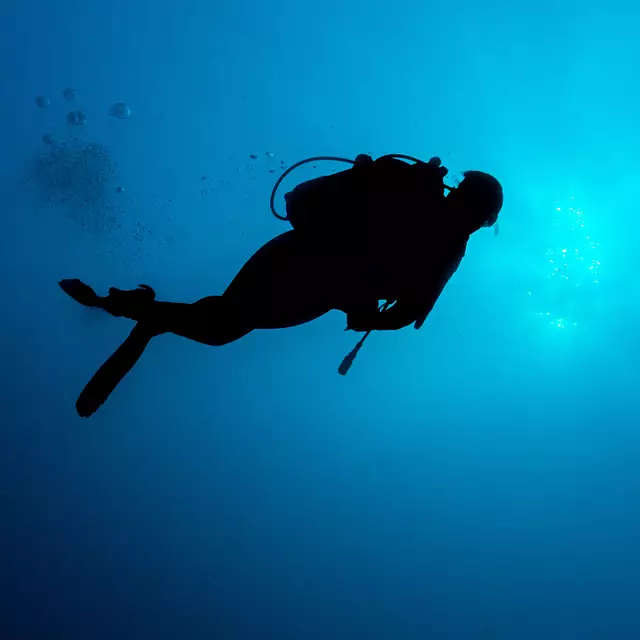 Foto: Adobe Stock/NicoDach