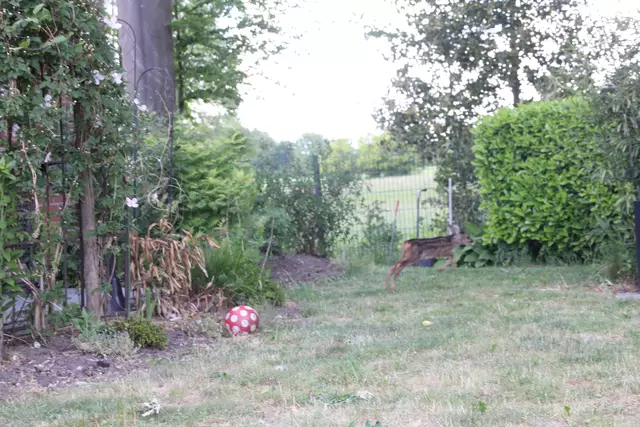 Und wieder auf dem Sprung