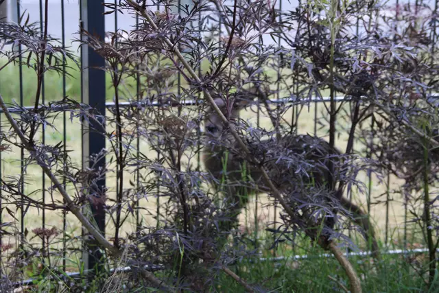 "Hier kannst Du mich gar nicht sehen!"