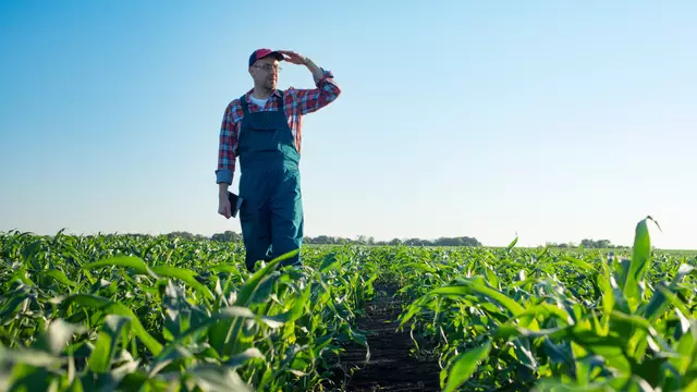 So mancher Landwirt blickt voller Sorge in die Zukunft | Foto: AdobeStock / Mikhailov Studio