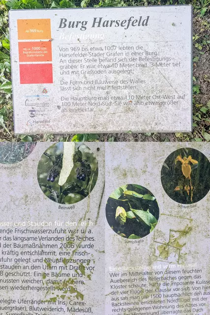 Kleine Collage aus verdreckten Infotafeln | Foto: jd