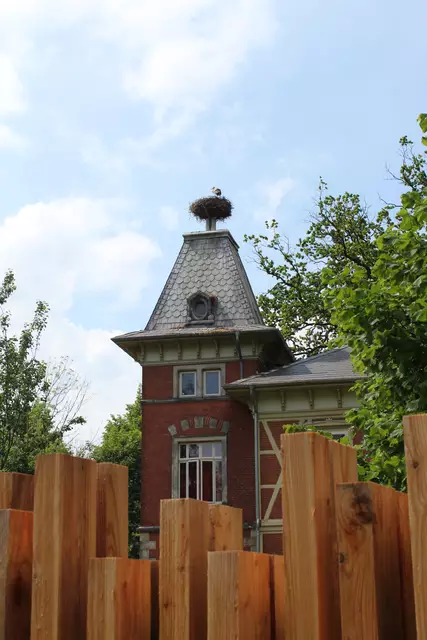 Blick über eine Palisade auf das Herrenhaus – zurzeit mit Storch auf dem Dach | Foto: sb