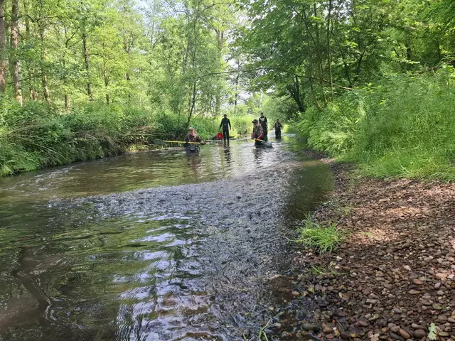 Die Angler waten durch das Flussbett der Aue | Foto: Angelverein Horneburg