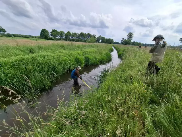 Am Oberlauf der Aue ist kaum noch Leben zu finden | Foto: Angelverein Horneburg