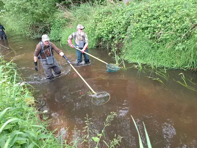 Mittels Elektrofischen versuchen die Angler, die letzten noch verbliebenen Fische in der Aue aufzuspüren | Foto: Angelverein Horneburg