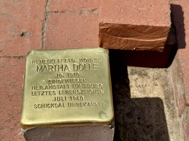 Der noch unverlegte Stolperstein | Foto: Gemeinde Seevetal
