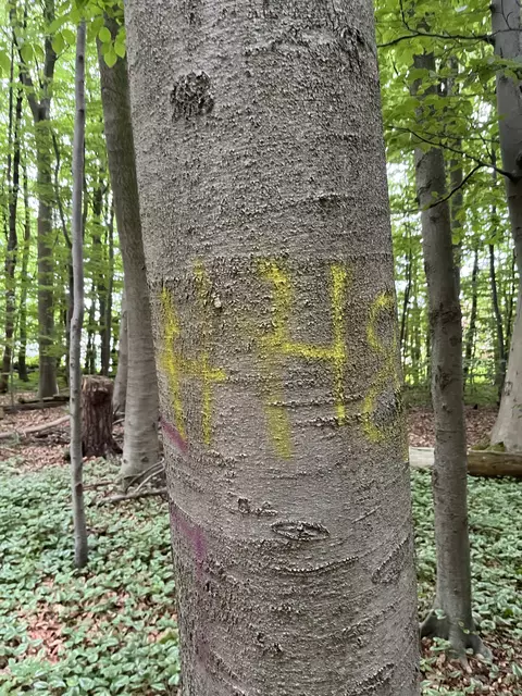 "HH88" - "8" steht in diesem Zusammenhang für den achten Buchstaben des Alphabetes, das "H" und somit in Gänze für den verbotenen Ausruf "Heil Hitler"   | Foto: sra