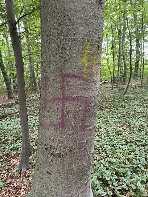 Verbotene Zeichen sind derzeit an mehreren Bäumen im Höpen zu finden | Foto: sra