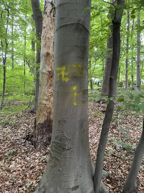 Entweder absichtlich abgewandelt oder aus Unwissenheit. Das Zeichen ist falsch herum. Es ist ohnehin verboten. Und wie es so treffend heißt: Dummheit schützt vor Strafe nicht | Foto: sra