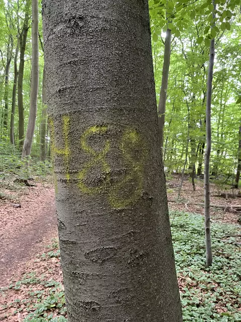 "HH88" - "8" steht in diesem Zusammenhang für den achten Buchstaben des Alphabetes, das "H" und somit in Gänze für den verbotenen Ausruf "Heil Hitler"   | Foto: sra