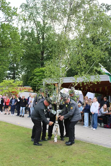 Die Premiere des Pfingstbaumpflanzens auf dem Schützenplatz rundete das Traditionsfest ab | Foto: ce