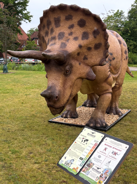 Der Triceratops ist 3,50 Meter hoch und über sieben Meter lang  | Foto: Dirk Seidler Bürgermeister Gemeinde Rosengarten