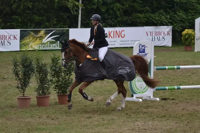  Im Springen aller Leistungsklassen gewann Anna-Lena Nickel (RFV Engelschoff) mit Benno die Kreismeisterschaft