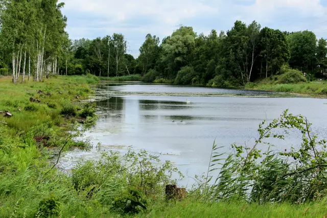 Gesamt Ansicht auf das Biotop.
Links erkennt man die Reststümpfe der Bäume. | Foto: Rüdiger Störtebecker