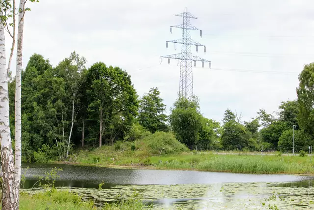 Das harte Ende einer Idylle. | Foto: Rüdiger Störtebecker