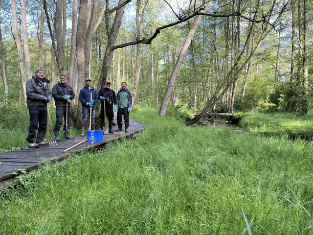 Ein Teil der Helfer auf dem Wanderwegsteg (v. li.): Thomas Hauschild,  Lennart Keidel,  Lukas Vienenkötter, Mathias Burmeister  und Jannes Wedel | Foto: Fischereivereinigung Nordheide