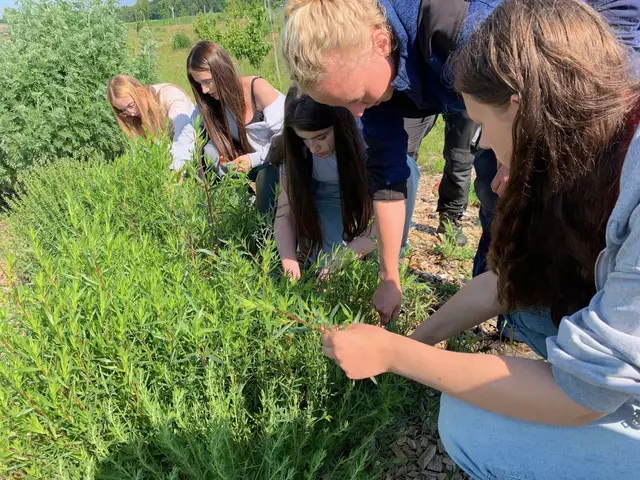Schülerinnen der Naturpark-Schule Oberschule Hanstedt sammeln Kräuter für ein Kräutersalz beim Hof an den Teichen in Lüneburg-Rettmer | Foto: Naturpark Lüneburger Heide