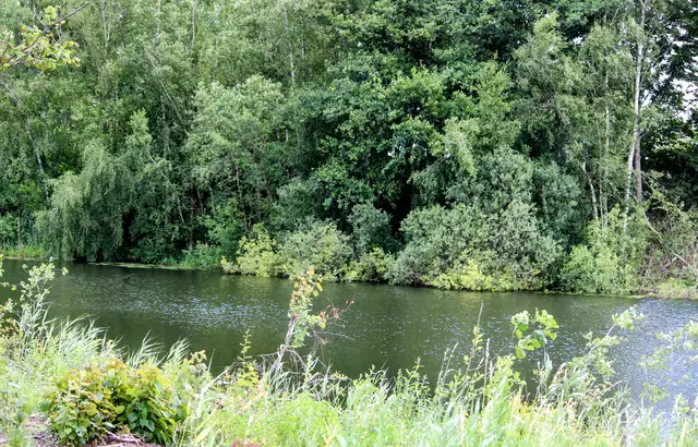 Fast wie in einem Urwald. | Foto: Rüdiger Störtebecker