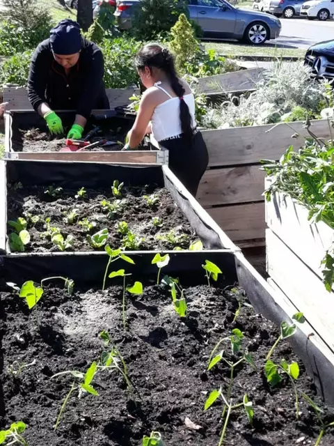 Kinder und Eltern haben Hochbeete im Altländer Viertel bepflanzt und bemalt, um damit etwas gegen Wildmüll zu unternehmen | Foto: BBW Cadenberge