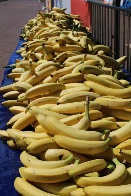 Jede Menge Bananen lieferten den Läufern neue Energie | Foto: poep