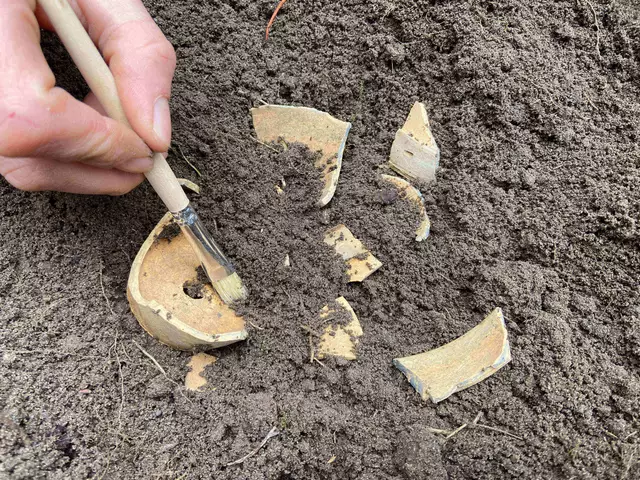 Themensonntag Archäologie am 6. Juli 2025 auf dem Museumsbauernhof in Wennerstorf | Foto: FLMK