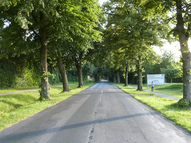  Die Buxtehuder Straße in Harsefeld ist zur „Allee des Monats Juni“ in Niedersachsen gekürt worden  | Foto: Max Peters