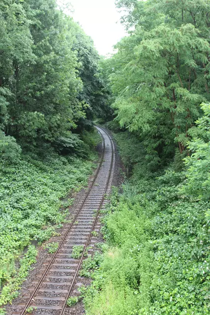 Die Bahntrasse unter der Brücke | Foto: sb